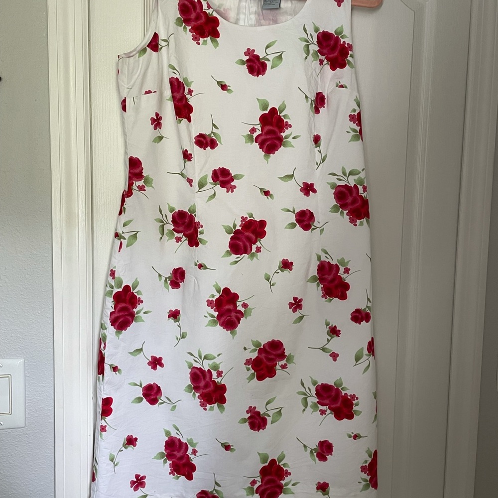 Vintage Aline Dress w lining zippered back.